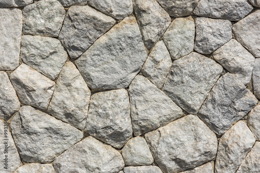 Obraz premium A rock wall texture