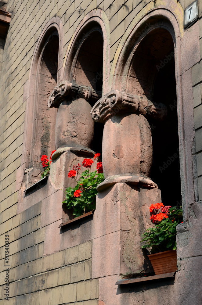 Window