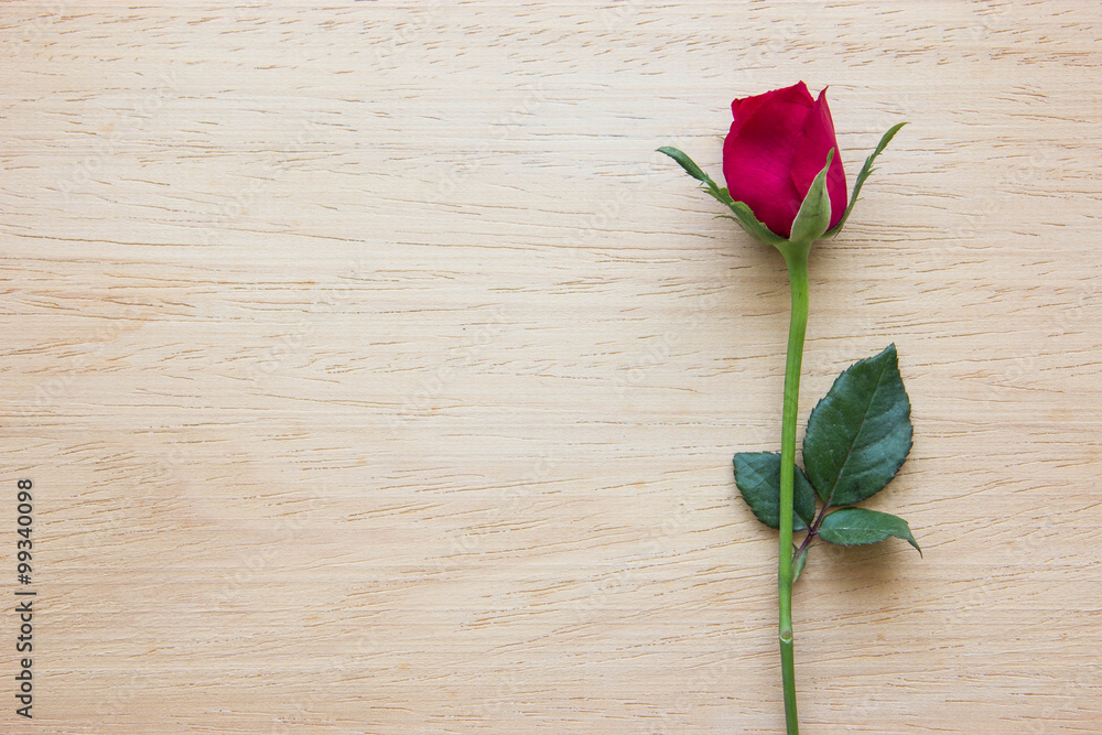 Red rose on wooden background