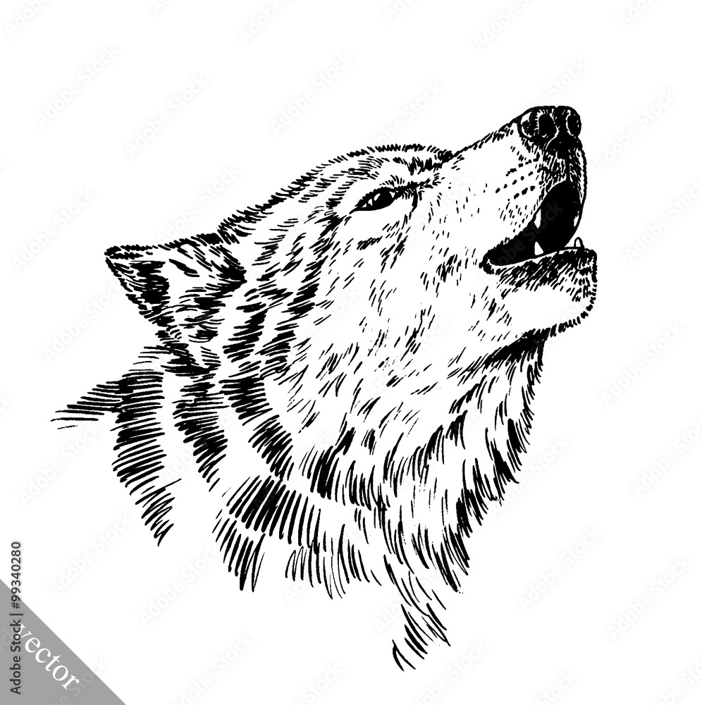 Fototapeta premium black and white engrave isolated wolf