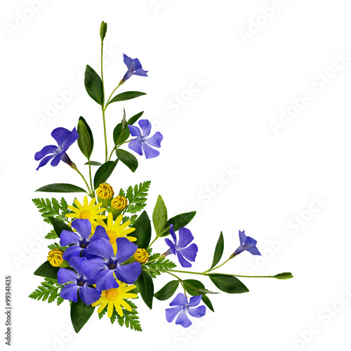 Periwinkle and daisy flower...