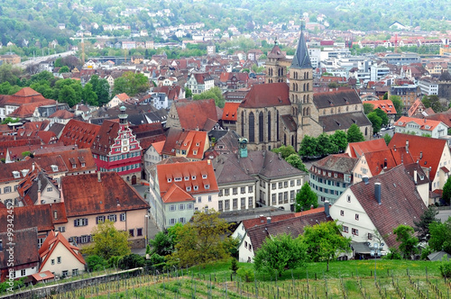 Panorama of Esslingen. Old City, Church and the vineyards in perspective, Baden-Wuerttemberg, Germany