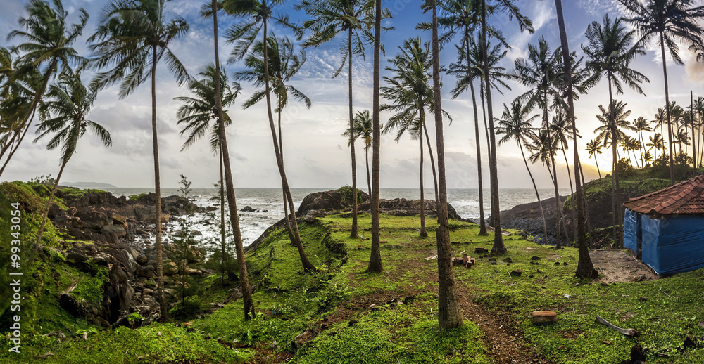Palm tree landscape of Goa - India