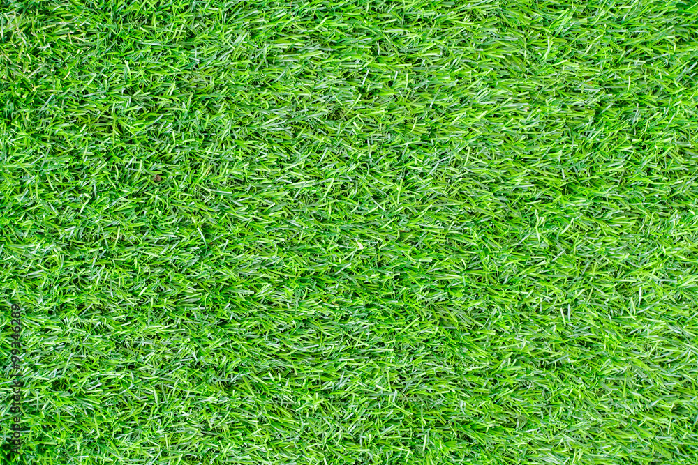 Fototapeta premium Turf grass background