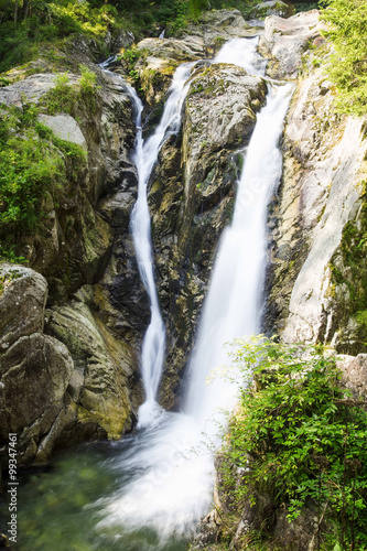 Forest waterfall with green vegetation selective focus