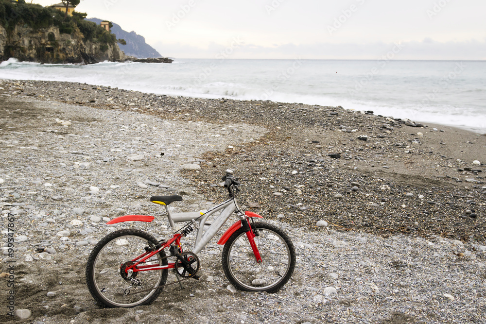 Fototapeta premium Winter beach. Color image