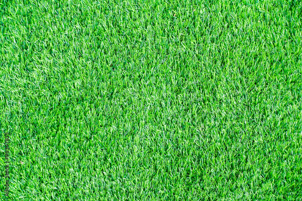 Fototapeta premium Turf grass background