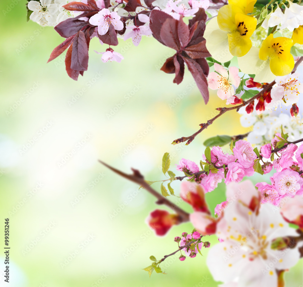 Obraz premium Beautiful abstract natural background with flowers