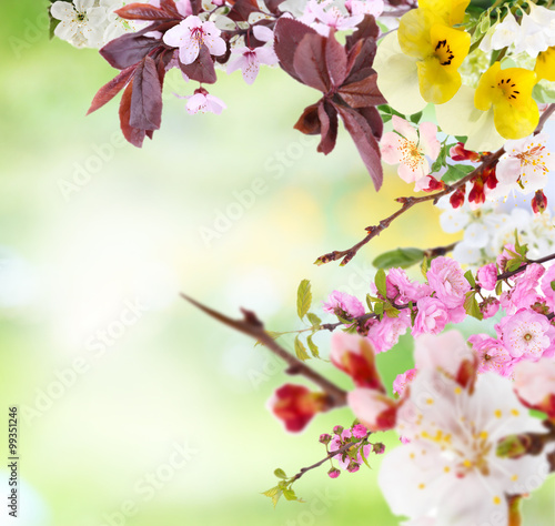 Beautiful abstract natural background with flowers