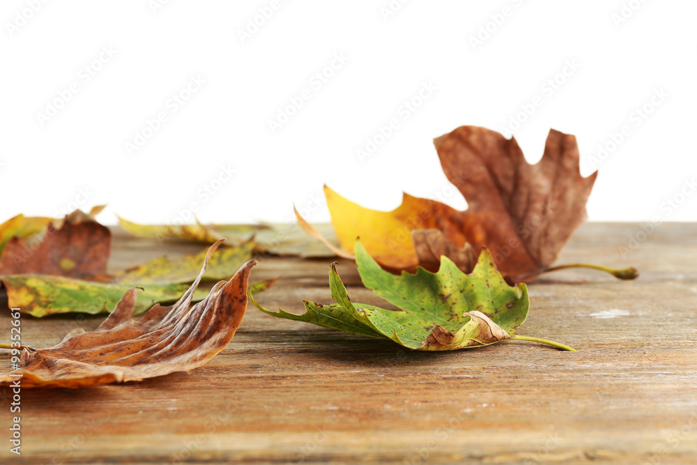 Autumn maple leaves on a wooden table isolated on white Autumn maple leaves on a wooden table isolated on white