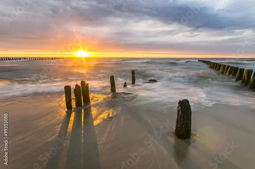 Obraz Paliki na morskiej  plaży