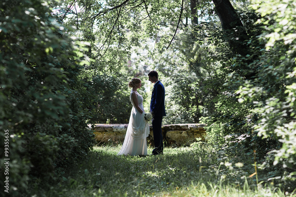 A happy young newly married couple walking in the park. Beautiful bride and groom kissing in the woods. A happy young newly married couple walking in the park. Beautiful bride and groom kissing in the woods.