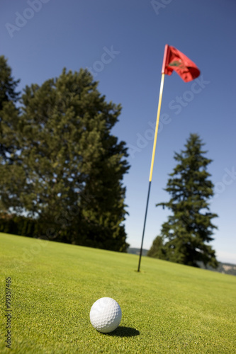 Golf ball on the green