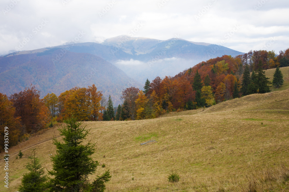 Autumn landscape in the Carpathian mountains.