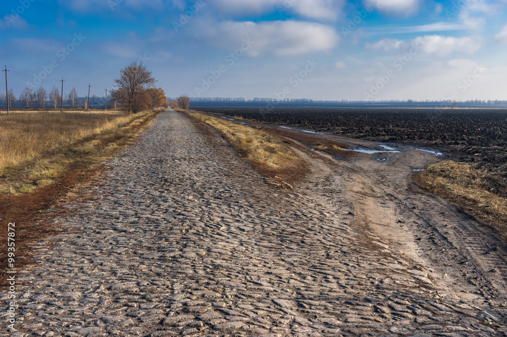 An ancient stone road in leading to small village Kozlivshyna, Poltavskaya oblast, Ukraine