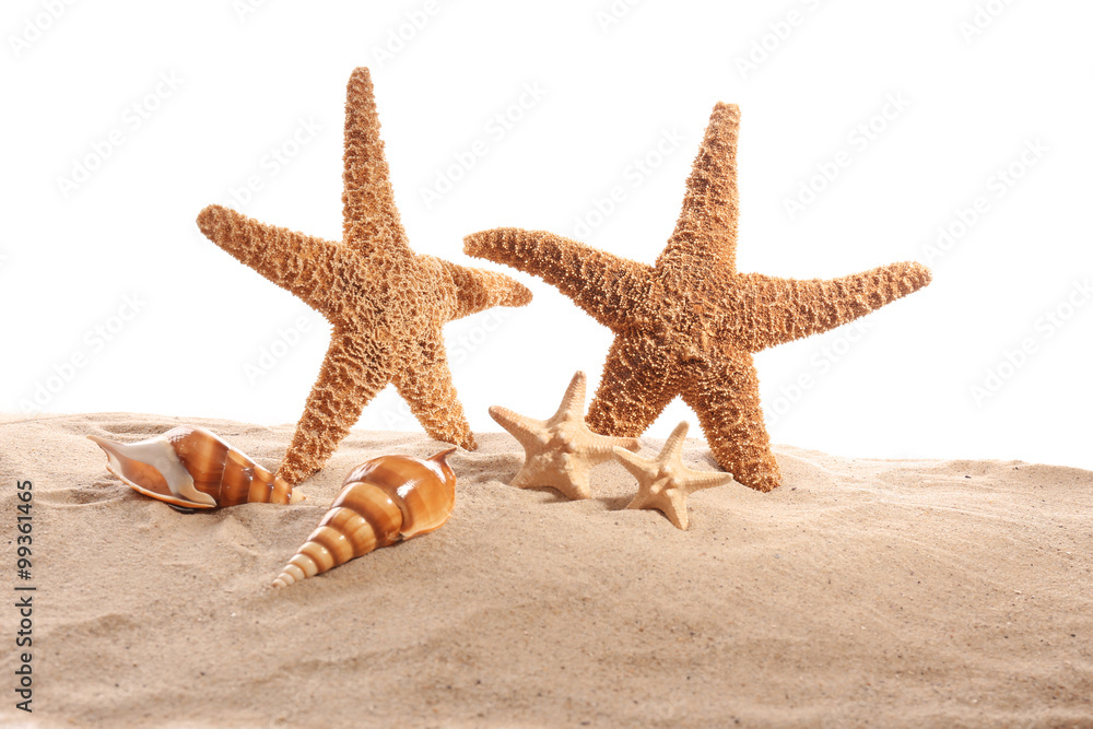 Sea stars and sea shells on sand isolated on white background Sea stars and sea shells on sand isolated on white background
