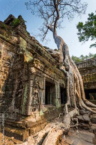 Ta Prohm temple in Siem reap , Cambodia