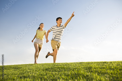 Cheerful young couple holding hands running on grass