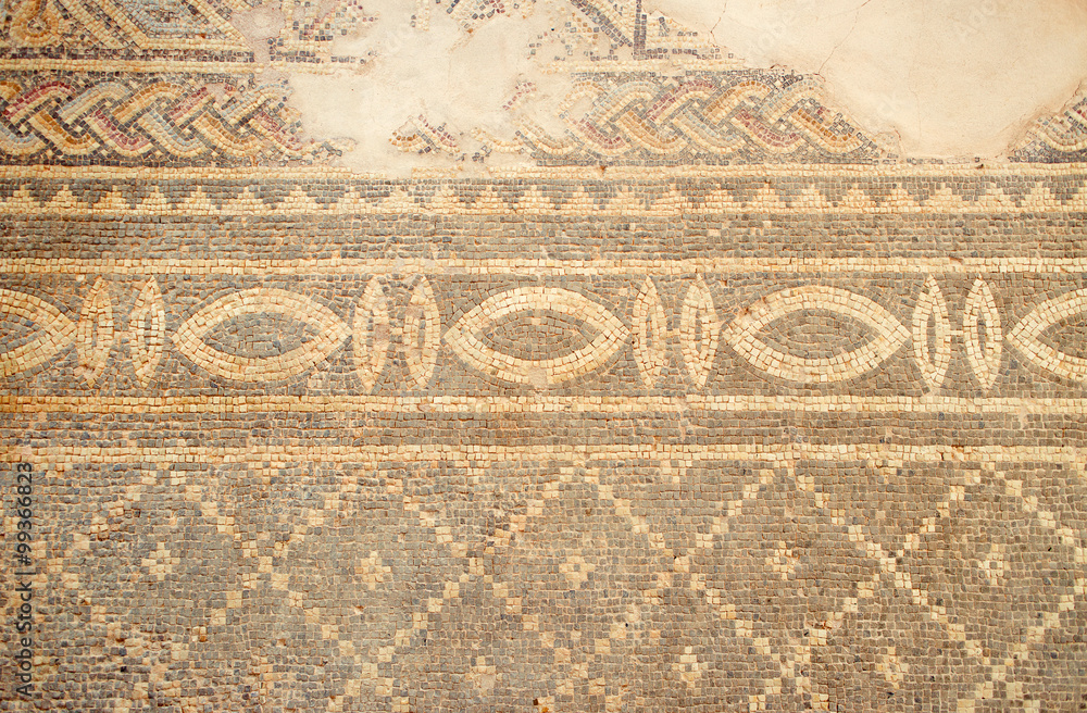 Ancient floor mosaic at Phaphos archaeological park, Cyprus.