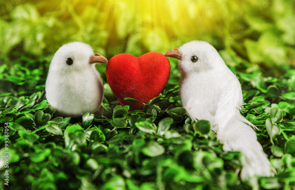 The concept of Valentine's Day two little white bird the lovers, heart covered sunshine on the background of nature.