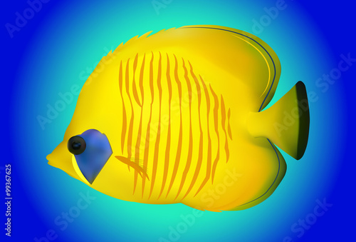 Beautiful Butterfly Fish on blue background