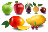  collection of fruits on white background