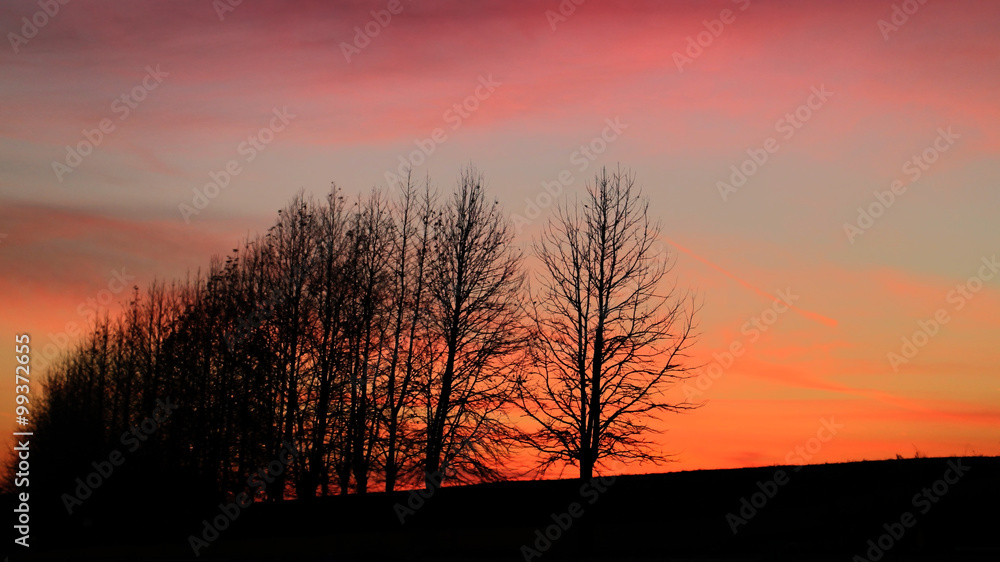 Obraz premium 冬の夕焼け