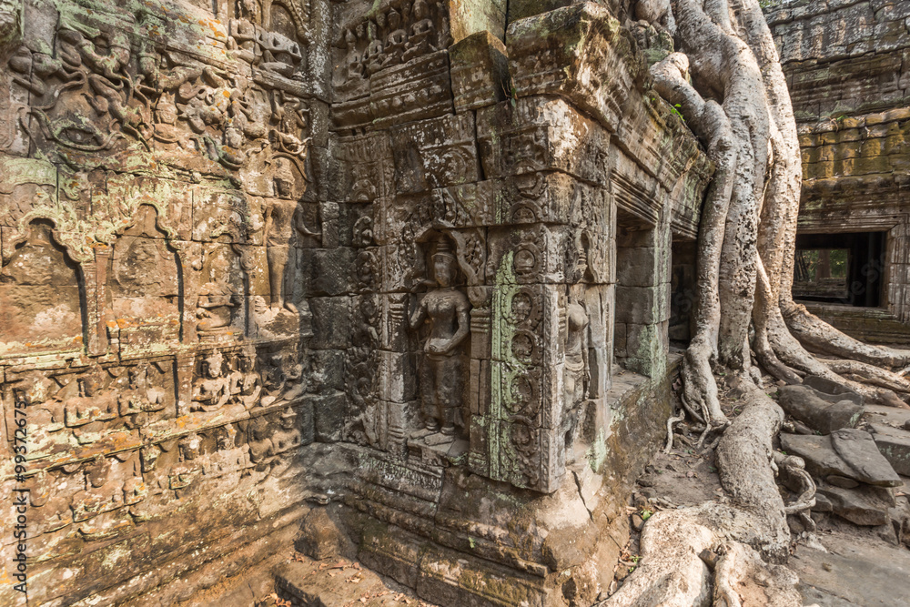 Ta Prohm temple in Siem reap , Cambodia