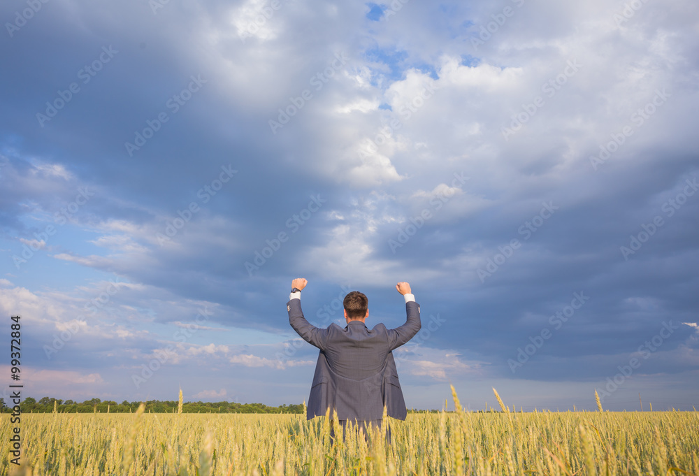 Happy businessman standing on the field Happy businessman standing on the field