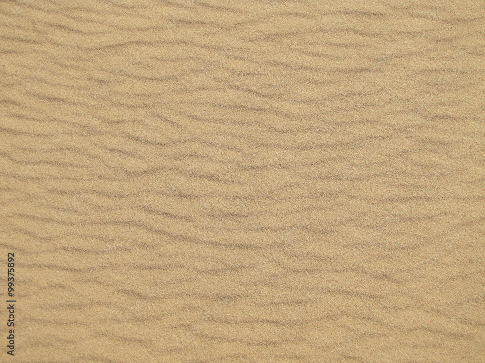 Obraz premium fine sand background