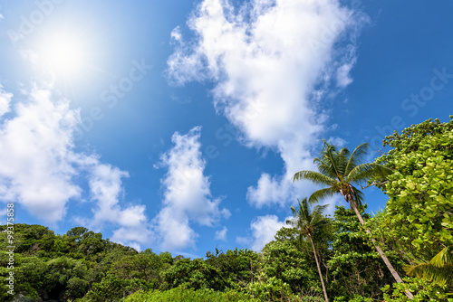 Beautiful high view blue sky cloud and sun during summer over palm tree on beach for background at Koh Similan Islands in Mu Ko Similan National Park  Phang Nga province  Thailand