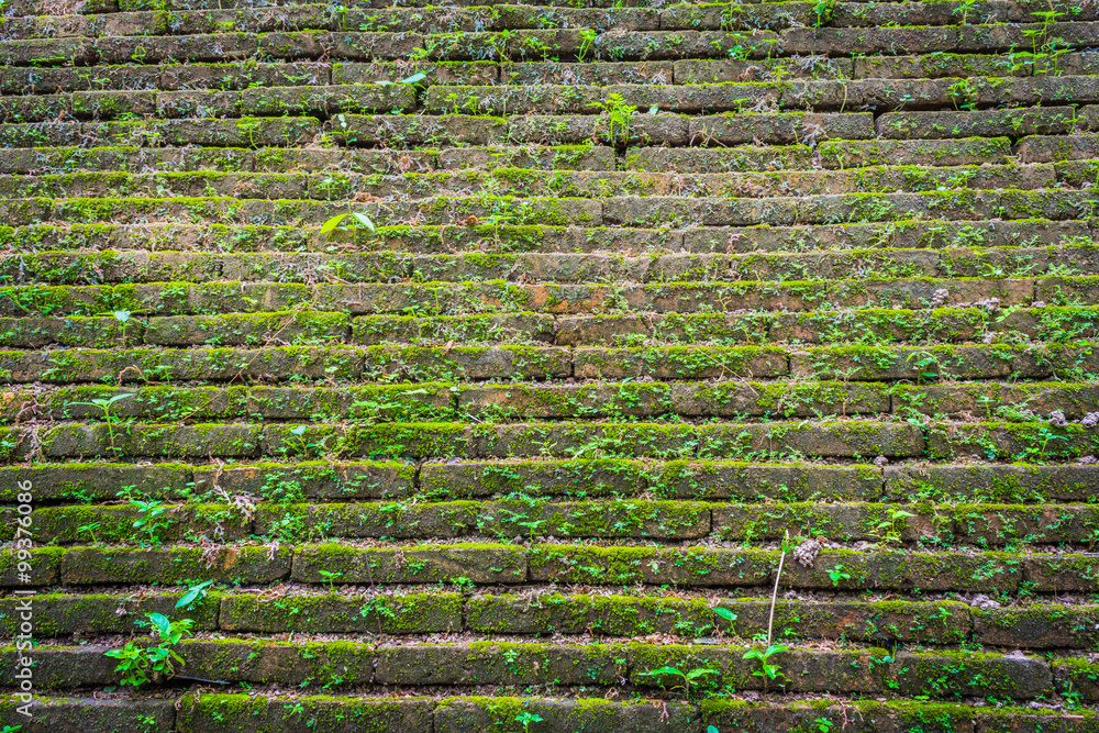 image of old mossy wall in day time image of old mossy wall in day time