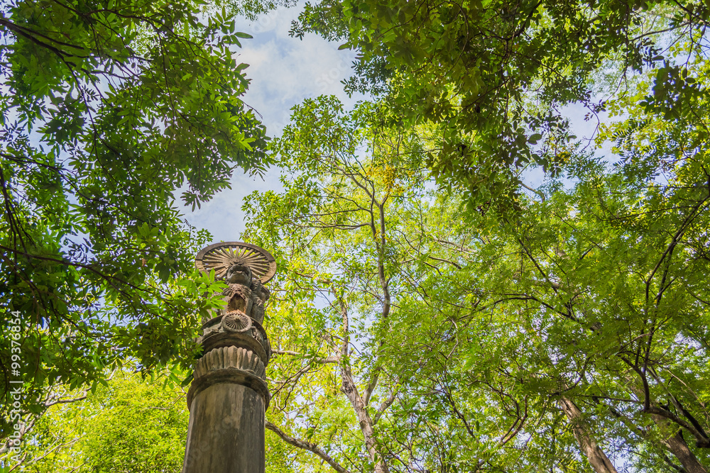 Fototapeta premium the dharmachakra in forest of Wat Umong temple in Chiang Mai, Th