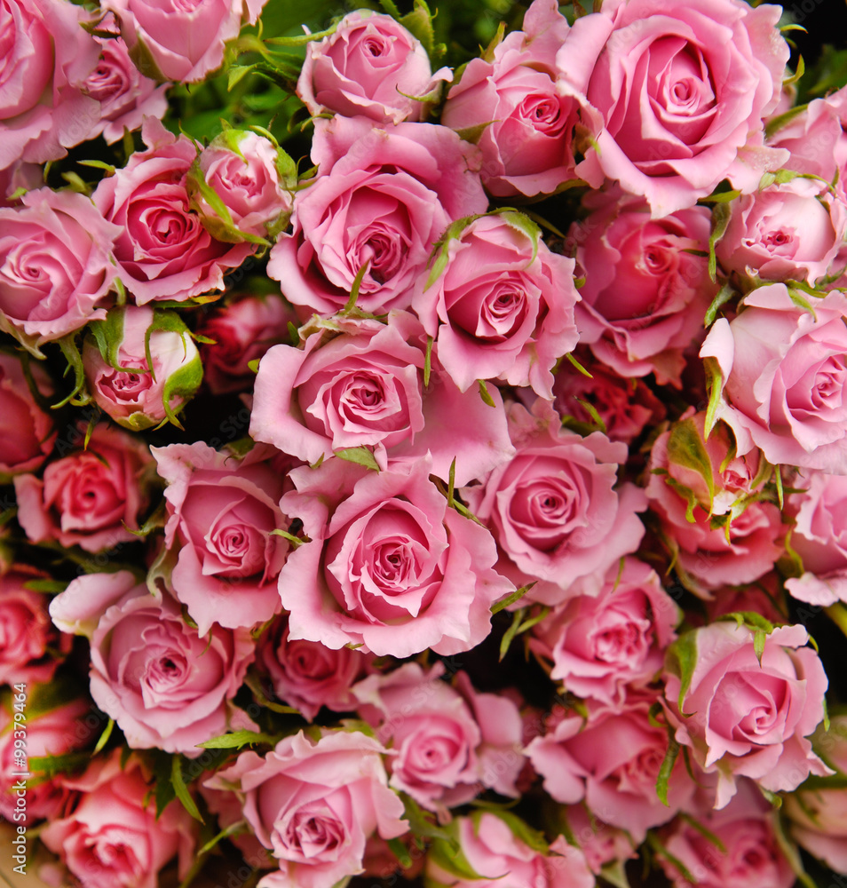 Big Roses texture Big Roses texture