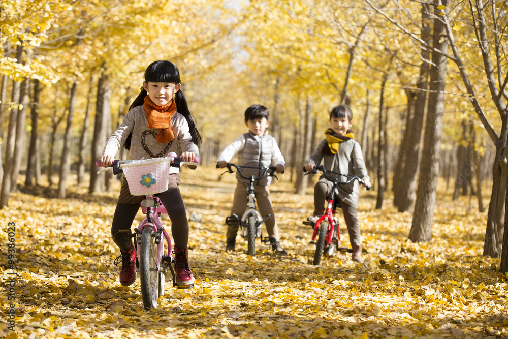 Fototapeta premium Three children cycling in autumn woods