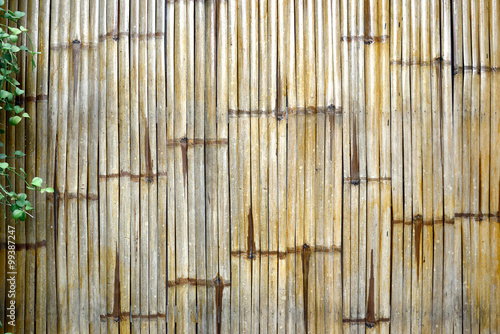 Bamboo fence with plants