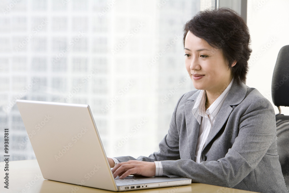 Businesswoman uses laptop in a well-lit, sunny office. Businesswoman uses laptop in a well-lit, sunny office.