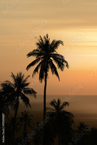 Coconut trees silhouette background sunset. © buraratn