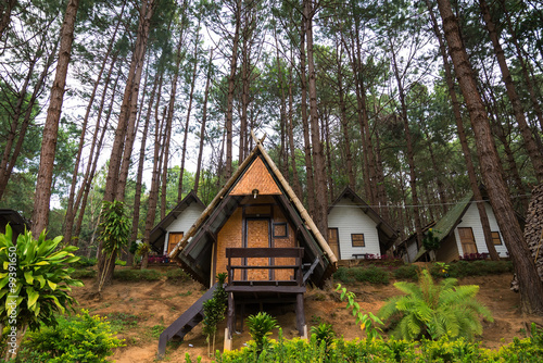 Homes with pine tree on Pang Ung reservoir lake  in Mae Hong Son, Thailand. © ordinary042