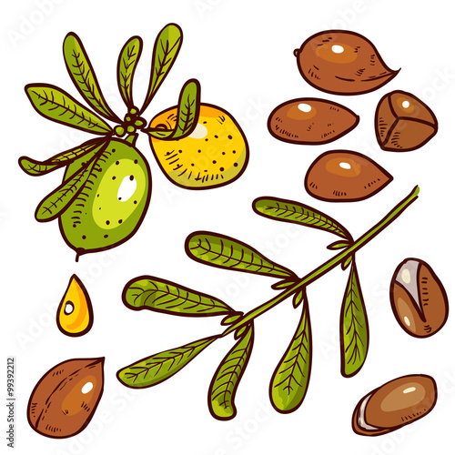 Set of Argan Oil