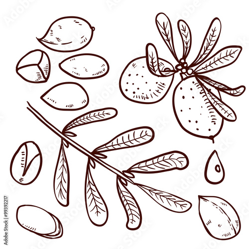 Set of Argan Oil