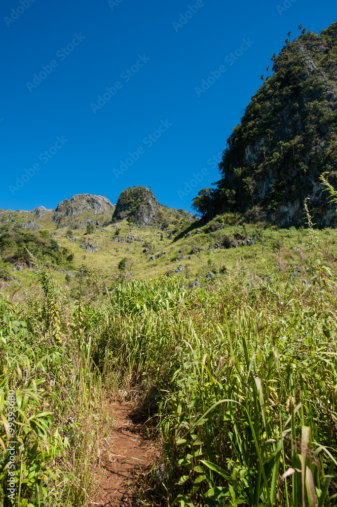 mountain landscape