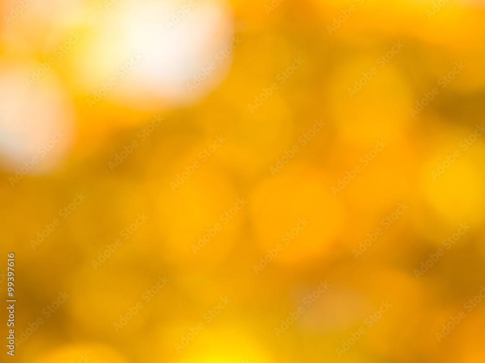 autumn background autumn background