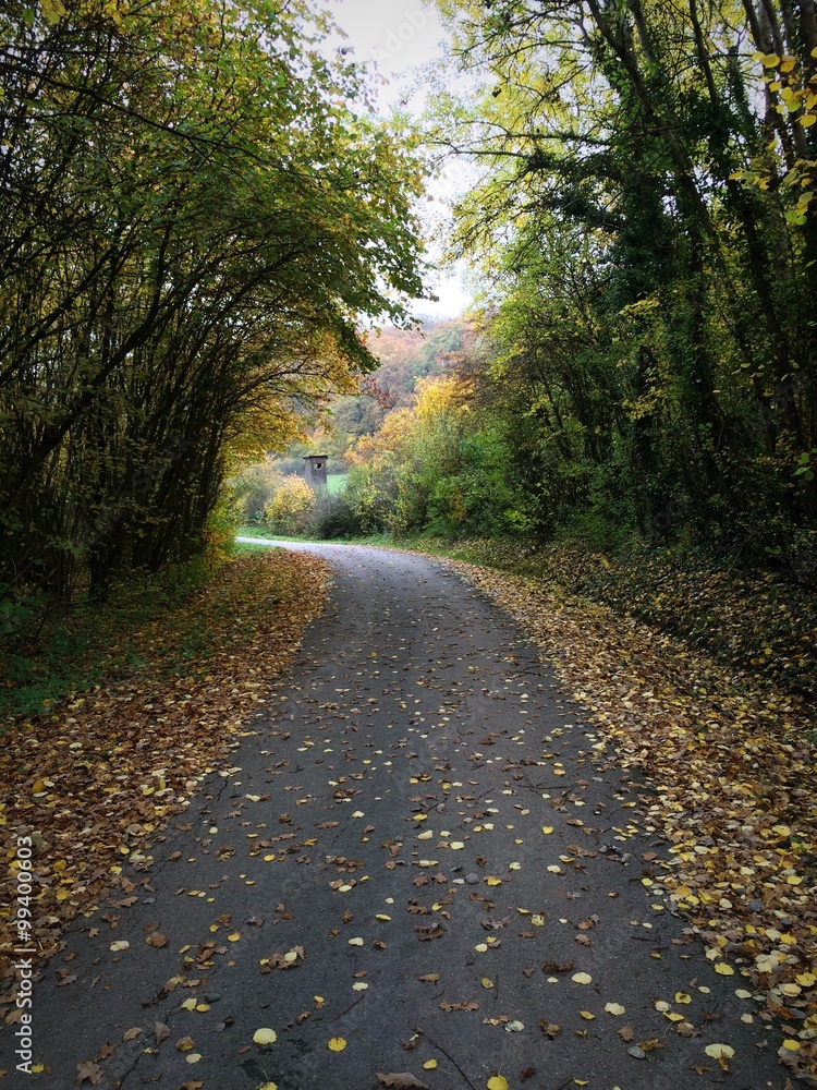 Fototapeta premium Spaziergang im Herbst