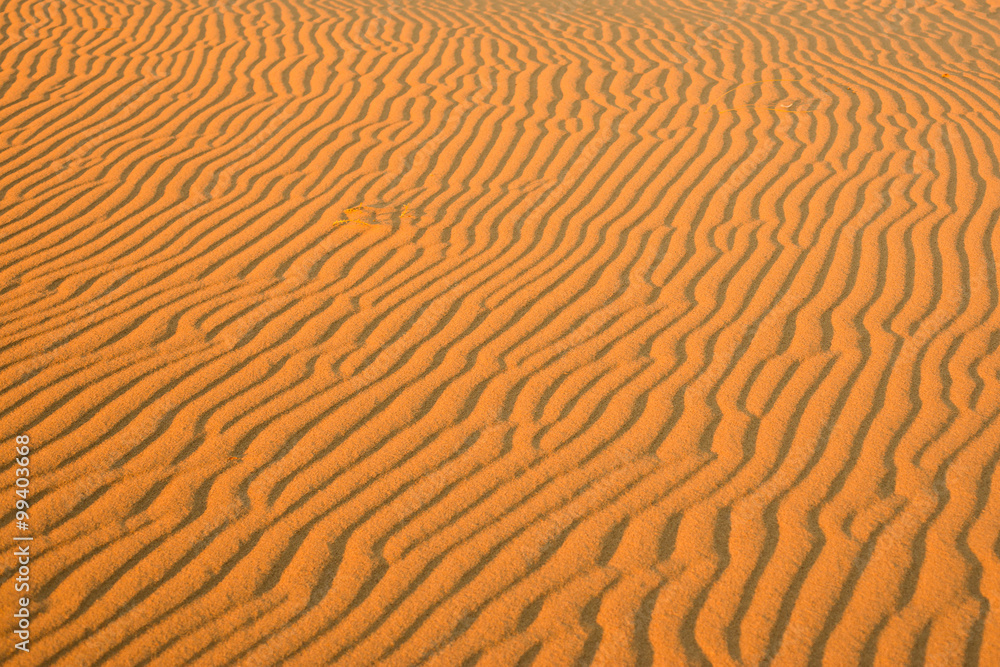 Striped pattern on the orange sand dune Striped pattern on the orange sand dune