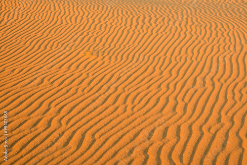 Striped pattern on the orange sand dune