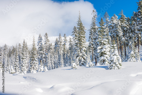 Winter Landscape © srongkrod