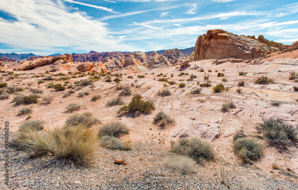 Rock desert, Nevada