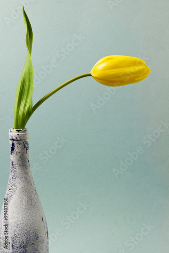 Wallpaper Mural желтый тюльпан в бутылке Torontodigital.ca