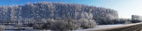 beautiful landscape in winter